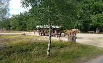 IMG-20250825-WA0018